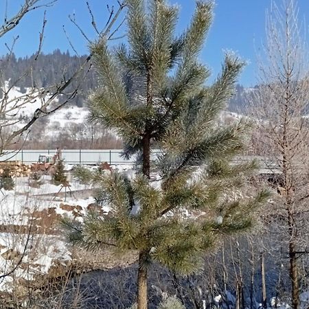 Затишний Будиночок Bukovets 외부 사진
