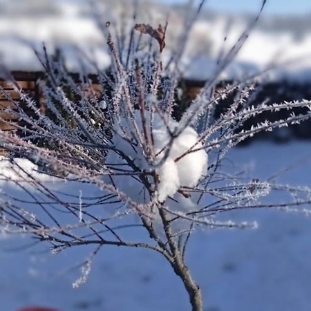 Затишний Будиночок Bukovets 외부 사진