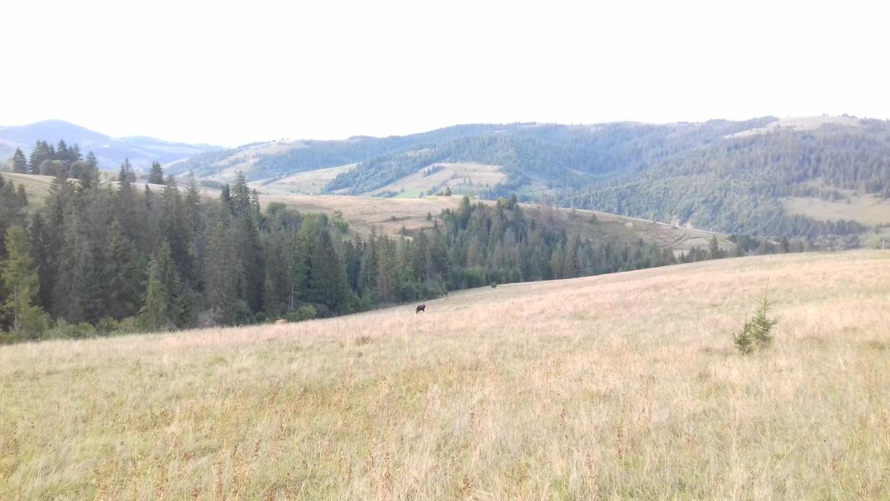 Затишний Будиночок Bukovets 외부 사진